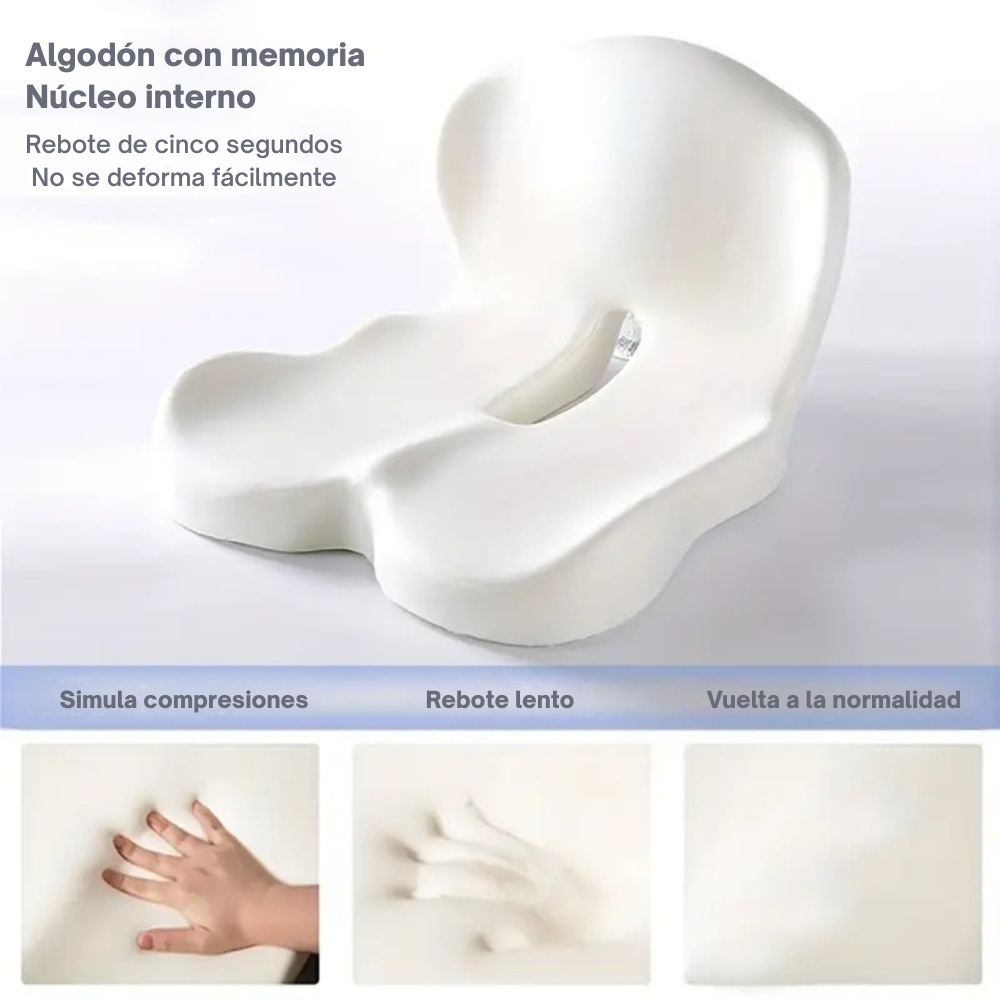 Cojín ErgoRelax OrtoLifes™